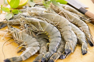 Gamberi Black Tiger per tempura: come si cucinano e le caratteristiche
