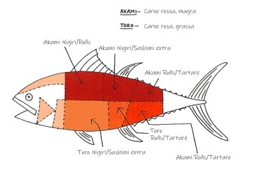 Qual è il miglior tonno per sushi?