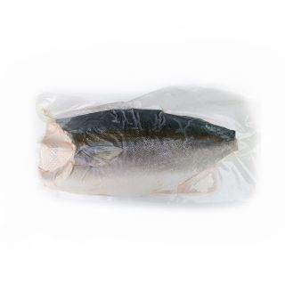 hiramasa ricciola giapponese qualità sashimi