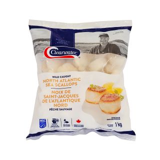 hotate gai 10/20 cappesante per consumo crudo