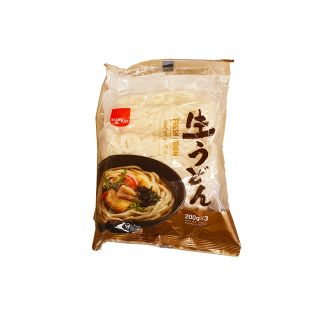nama udon freschi