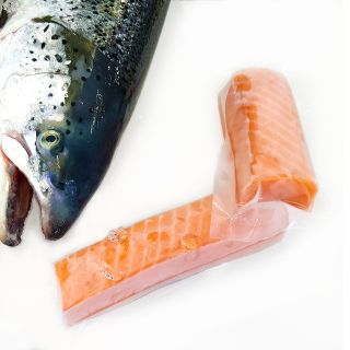 salmone abbattuto per sushi e sashimi
