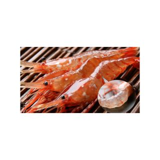 botan ebi xl black spot prawn