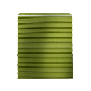 hasegawa makisu in resina alimentare