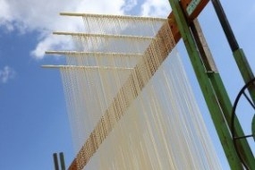 Somen produzione