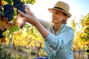 Immagine di Katerina Monroe